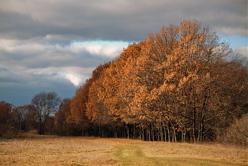 Перейти к оригиналу